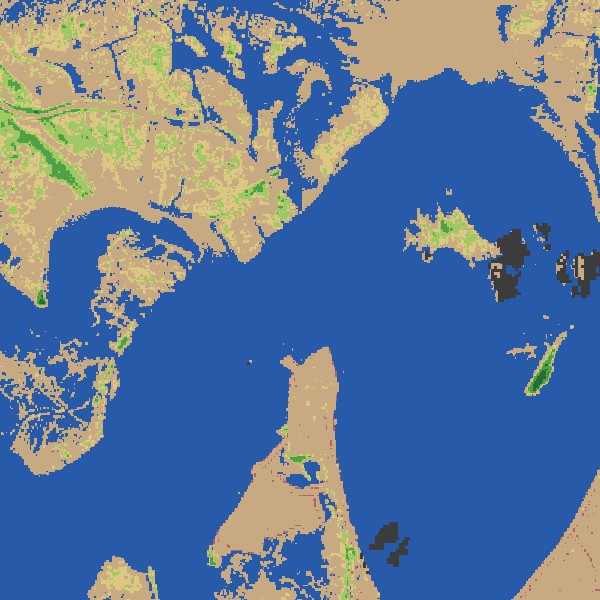 Land cover classification map