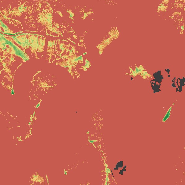 NDVI vegetation health heatmap