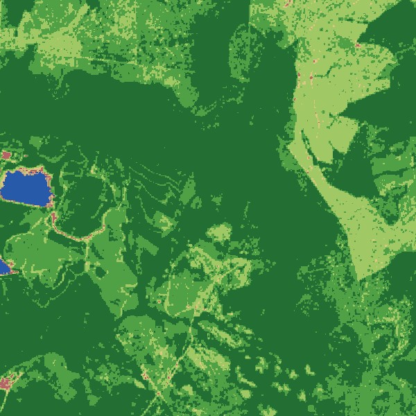 Land cover classification map