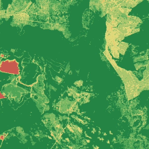 NDVI vegetation health heatmap